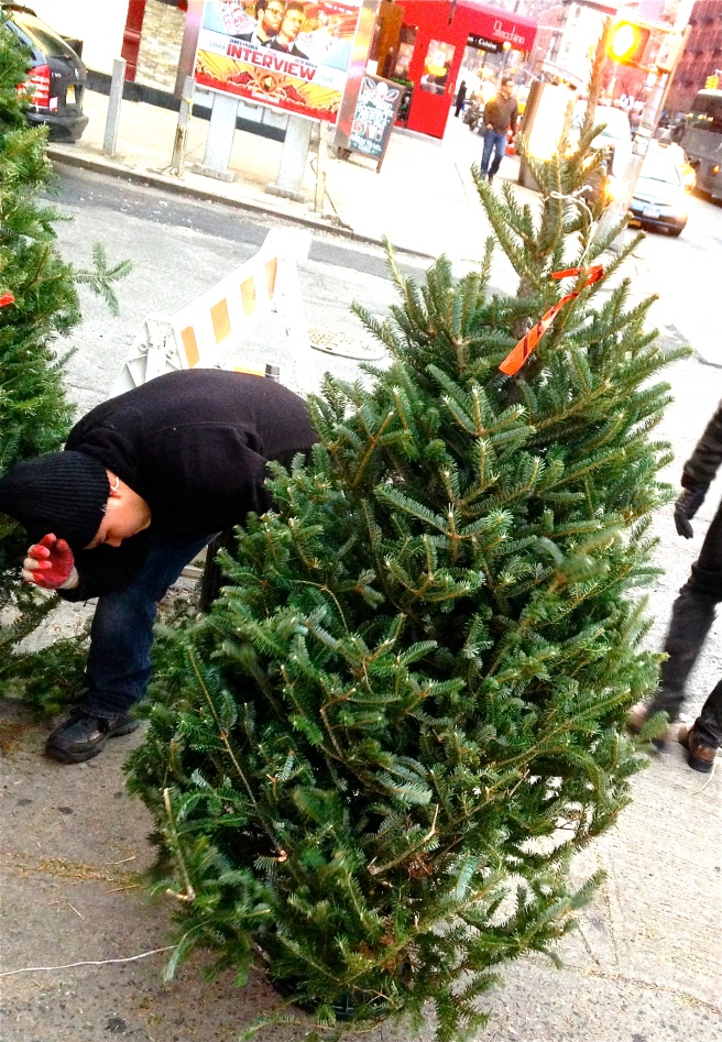 getting the tree