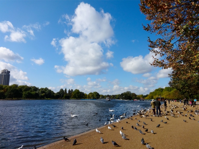 Swan Lake in Hyde Park