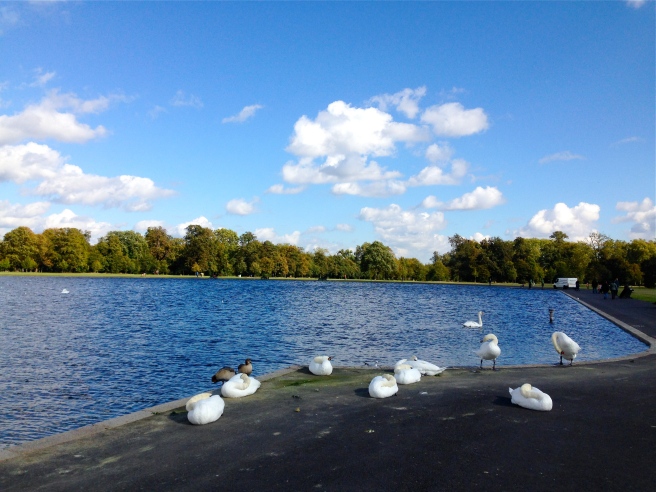 Kensington Palace Pond